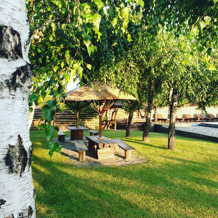 Casa Tomsa Bed & Breakfast Rozavlea Bagian luar foto